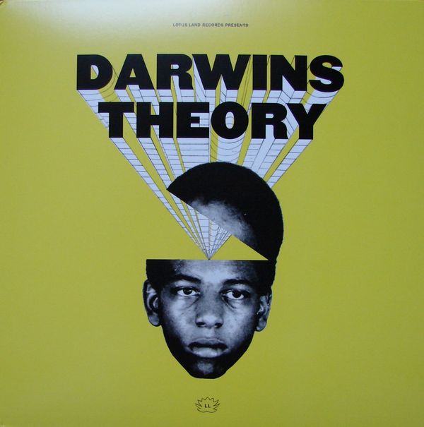 DARWINS THEORY LP レコード 【公式通販】