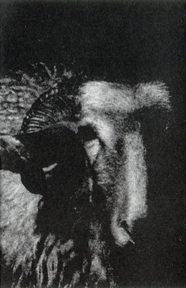 The Austrasian Goat and the Vntrve Ensemble / Ravnesdom by The ...