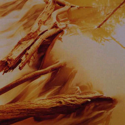 洋楽 windy & carl depths ambient drone windy & carl depths ambient drone Amazon.co.jp: Depths by