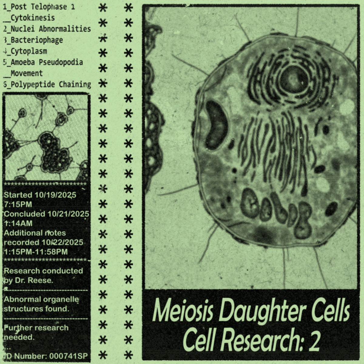 Cell Research: 2 by Meiosis Daughter Cells (EP): Reviews, Ratings ...