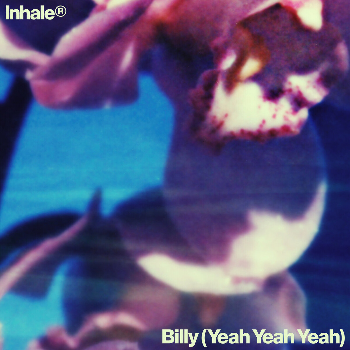 Billy (Yeah Yeah Yeah) by Inhaler (Single): Reviews, Ratings, Credits ...