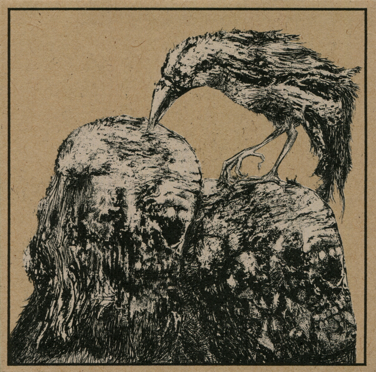 Wolf Eyes Albums: songs, discography, biography, and