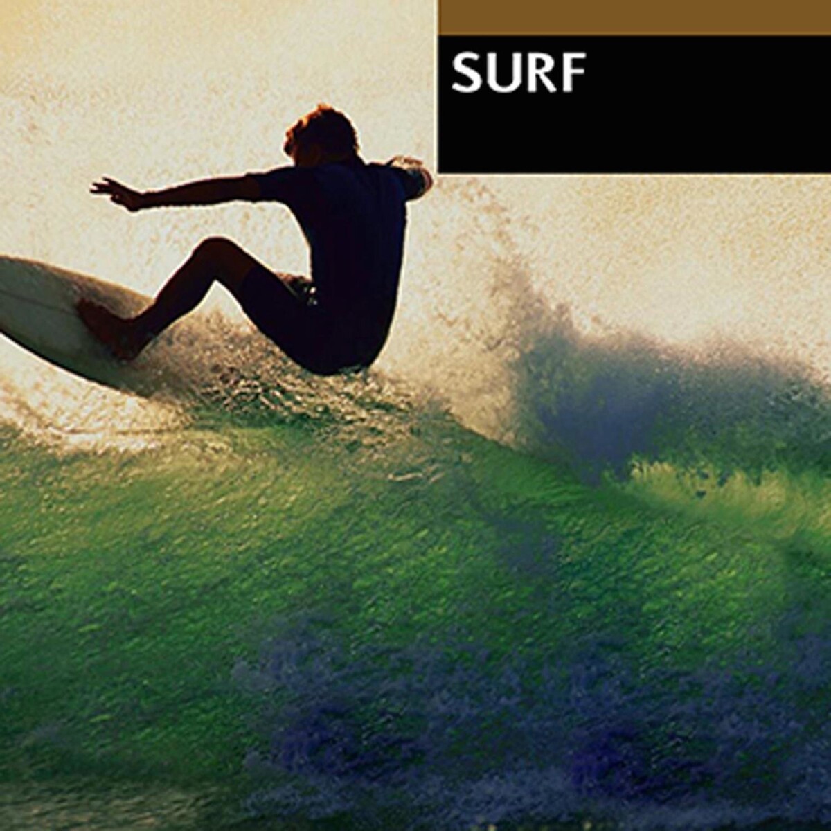 Surf Rockers Albums: songs, discography, biography, and listening guide ...