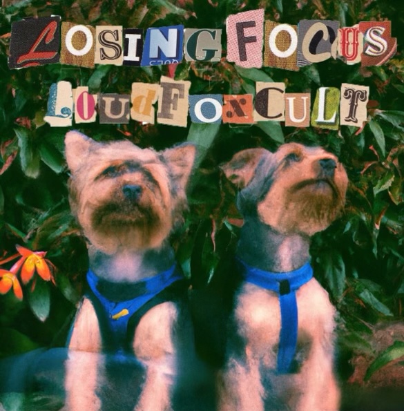 Losing Focus by Loud Fox Cult (Single, Pop Punk): Reviews, Ratings ...