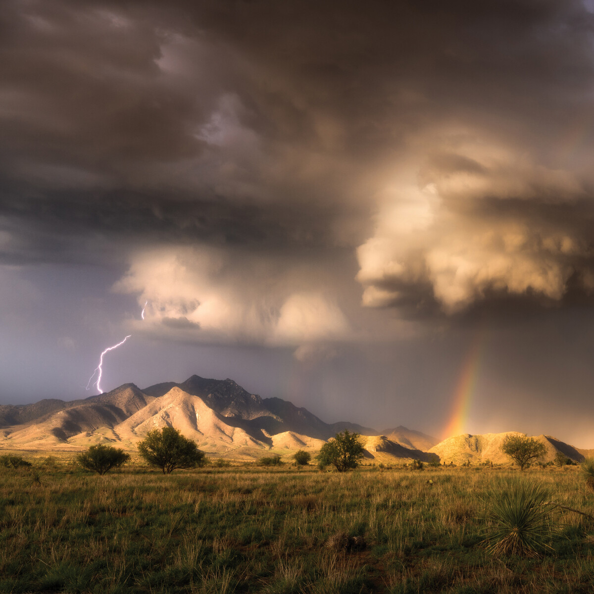 Why? by Beans on Toast (Single) Reviews, Ratings, Credits, Song list