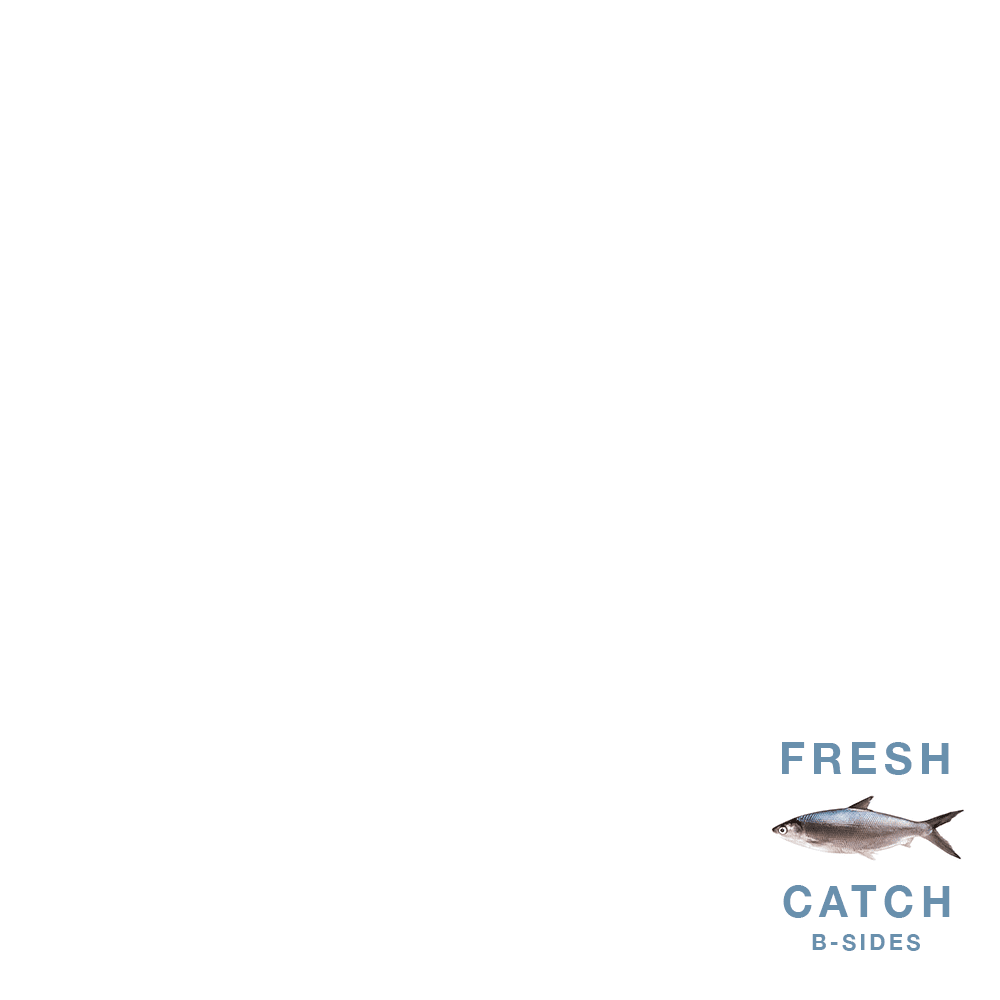 Fishmonger (B-Sides) by underscores (EP, Ambient Pop): Reviews, Ratings ...