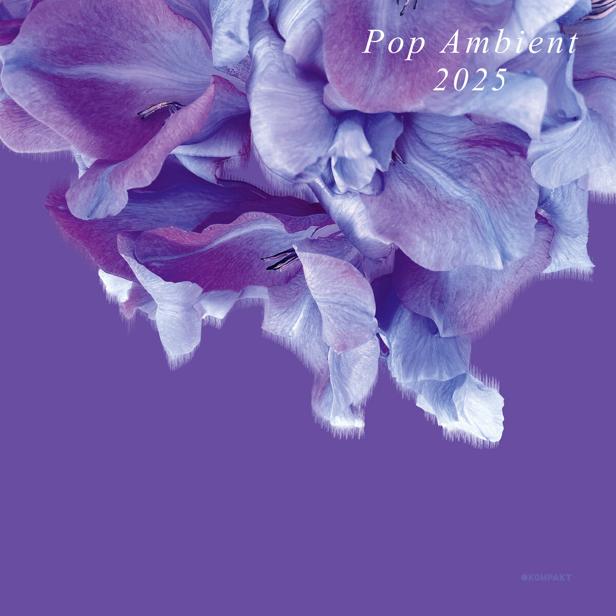 Pop Ambient 2025 By Various Artists Compilation Reviews Ratings 12681132