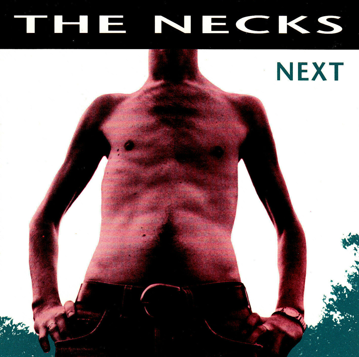 Next by The Necks (Album, Avant-Garde Jazz): Reviews, Ratings, Credits ...