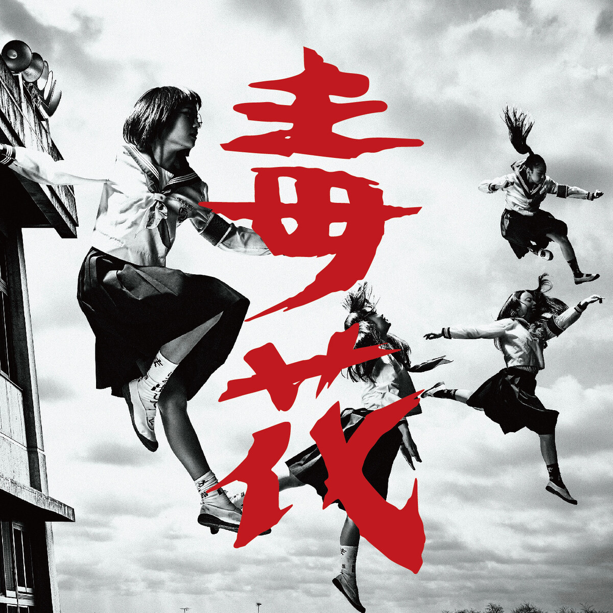 新しい学校のリーダーズ 毒花 サイン入り Amazon.co.jp: 毒花