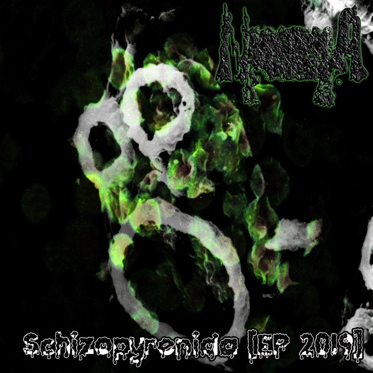 Naegleria Fowleri Albums: songs, discography, biography, and listening ...