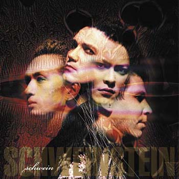 Schweinstein by Schwein (Album, Industrial Rock): Reviews