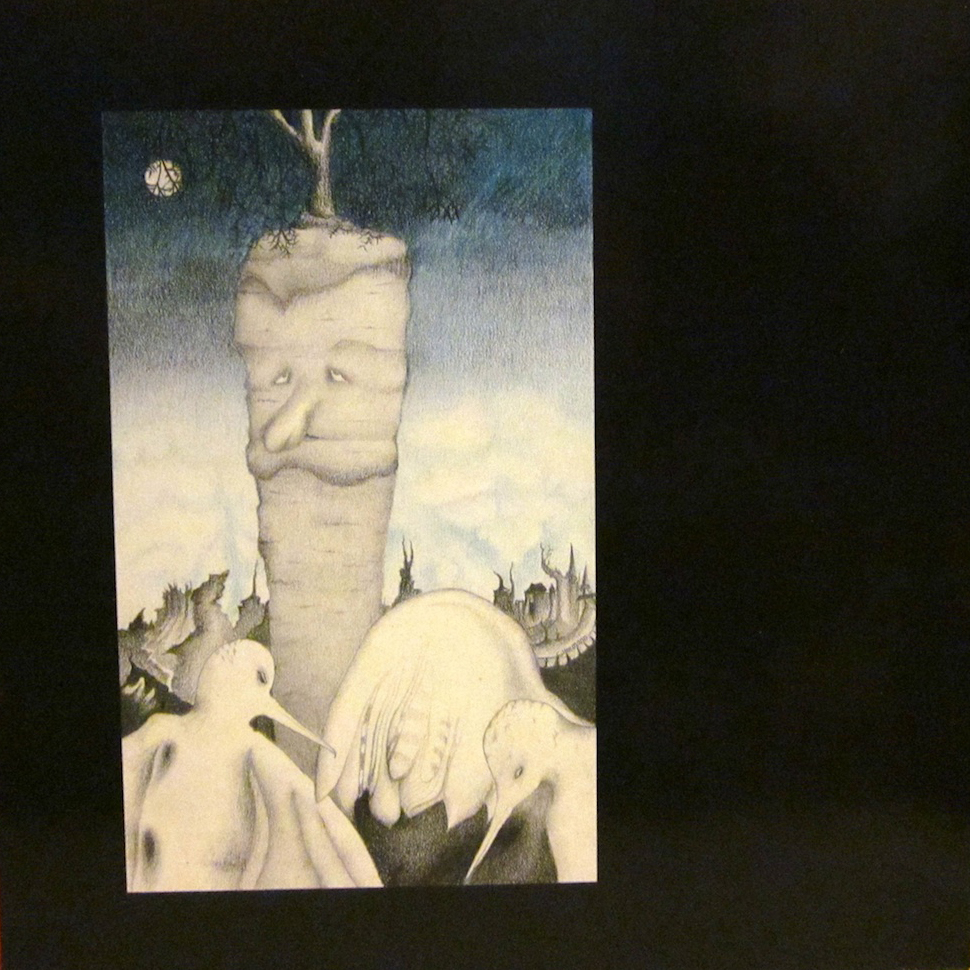 H.N.A.S - Im Schatten Der Mohre LP