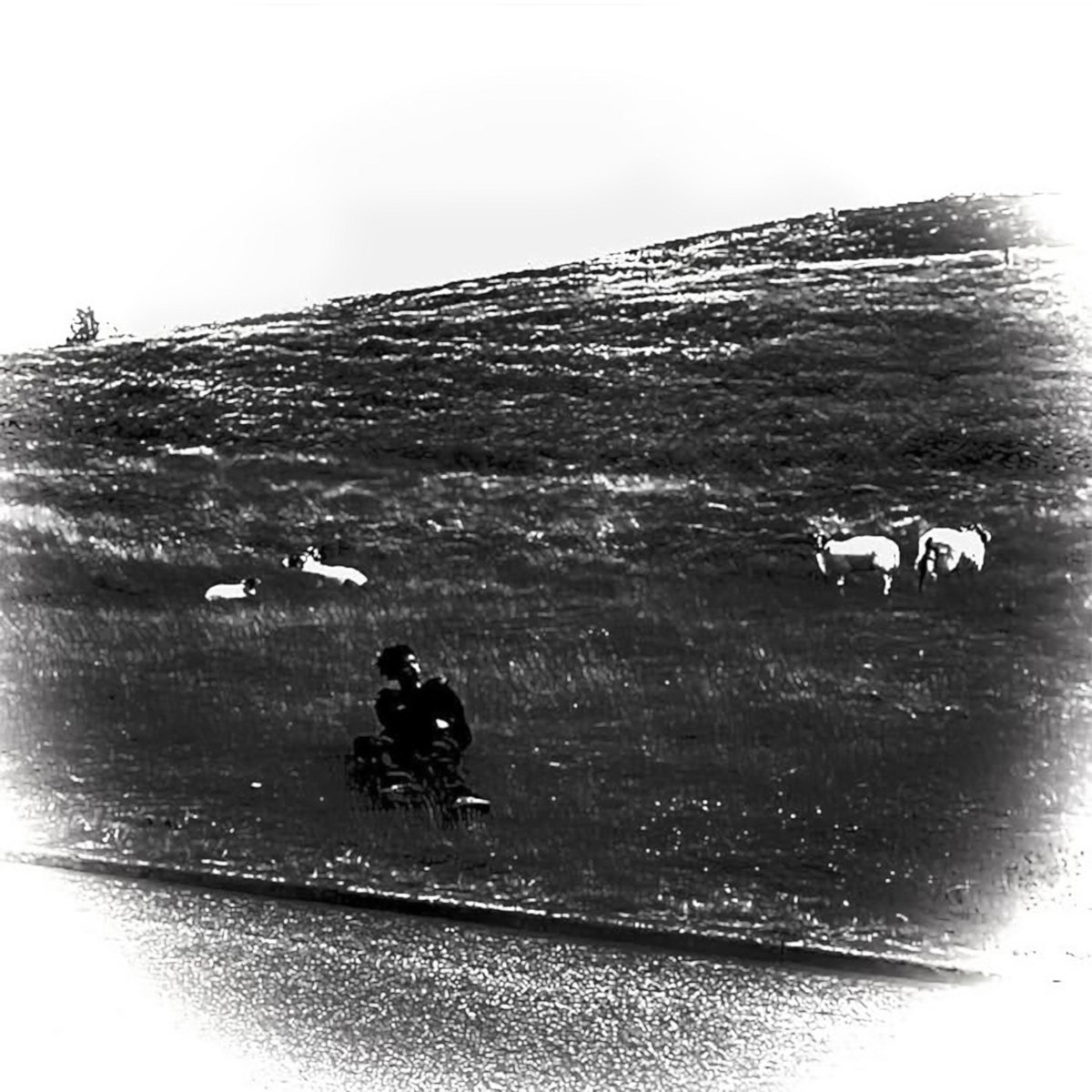 洋楽 PRETTY V DESTINY OF ILLUSION BIG LOVE Destiny of Illusion by Pretty V (Album; life is beautiful