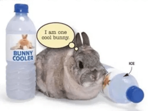 Unreleased Track Compilation By Void Compilation Electronic Reviews