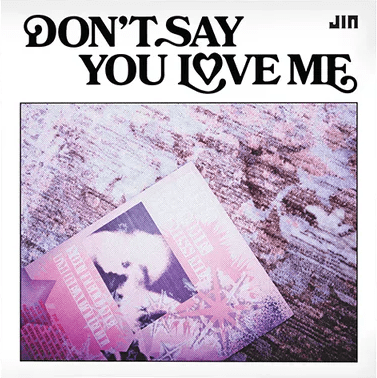 パーティを彩るご馳走や You Say Don't Love Reviews Synthpop): (Single, Jin by Me K-POP・アジア