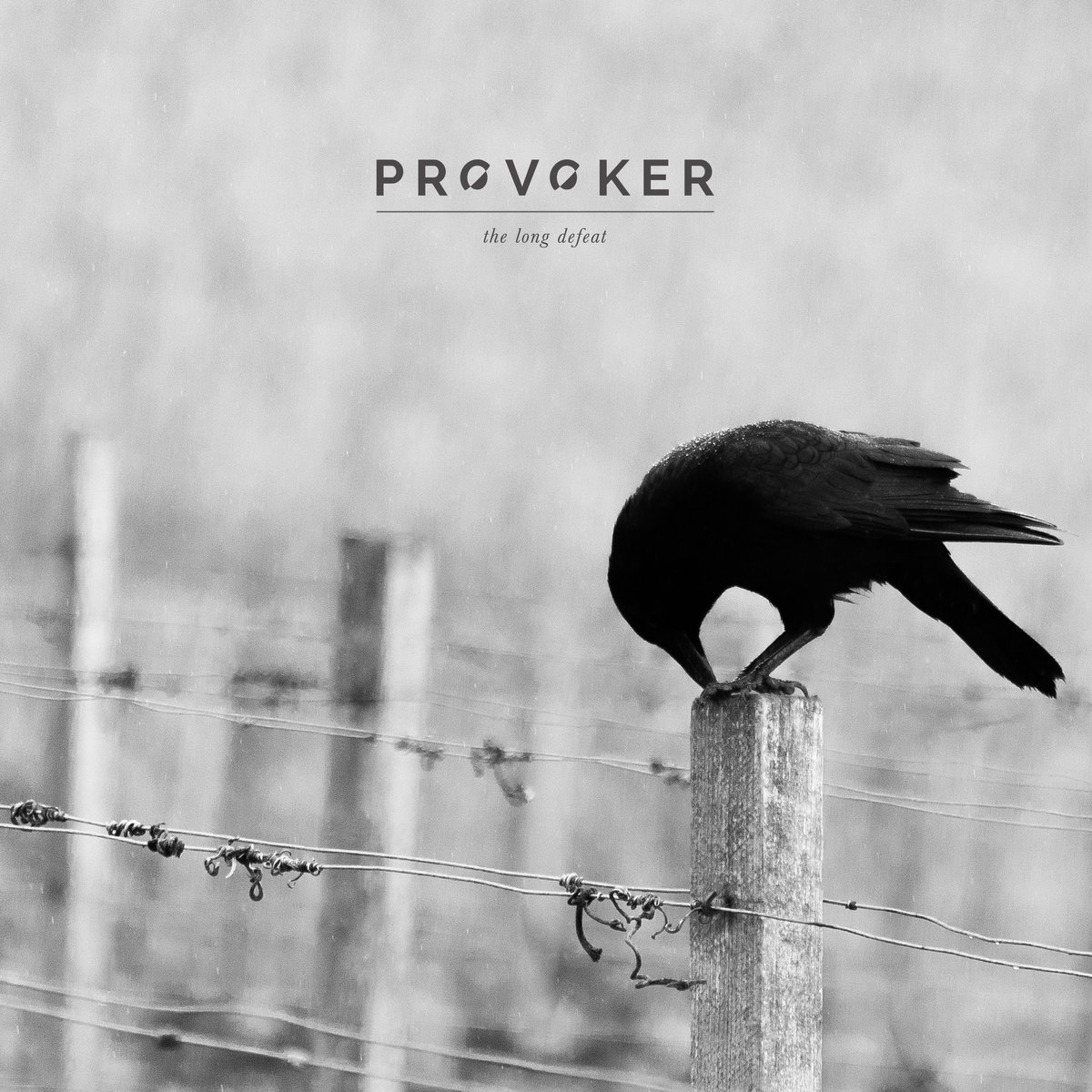 Provoker Albums: songs, discography, biography, and listening guide ...
