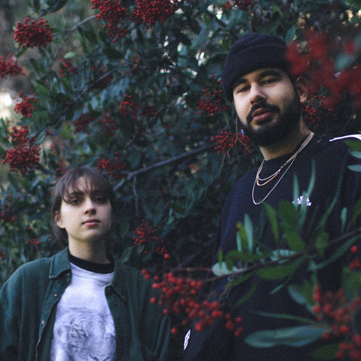 Lilacs. Albums: songs, discography, biography, and listening guide ...