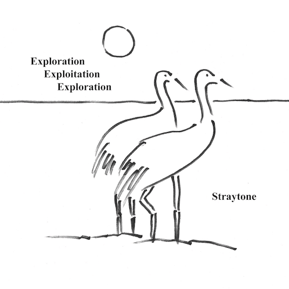 Exploration Exploitation Exploration by Straytone (Album, Electronic ...