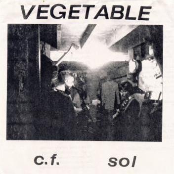 Vegetable Albums: songs, discography, biography, and listening guide ...