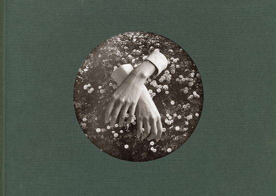 aspidistrafly A Little Fable レコード LP Nº 31 A LITTLE FABLE (LP Edition) – ASPIDISTRAFLY – KITCHEN. LABEL