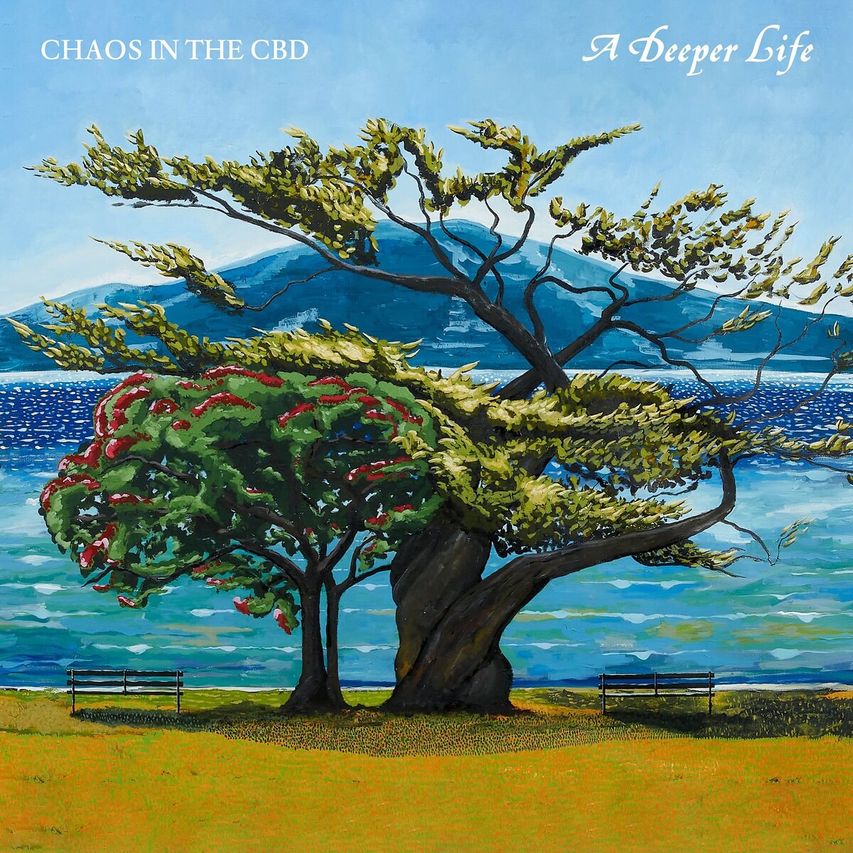 A Deeper Life by Chaos in the CBD (Album, Downtempo) Reviews, Ratings