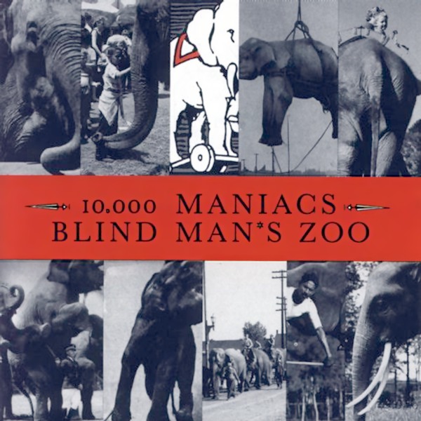 10.000 MANIACS BLIND MAN’S ZOO 80s バンドT 713x4T1WCvL._UF350,350_QL50_.jpg