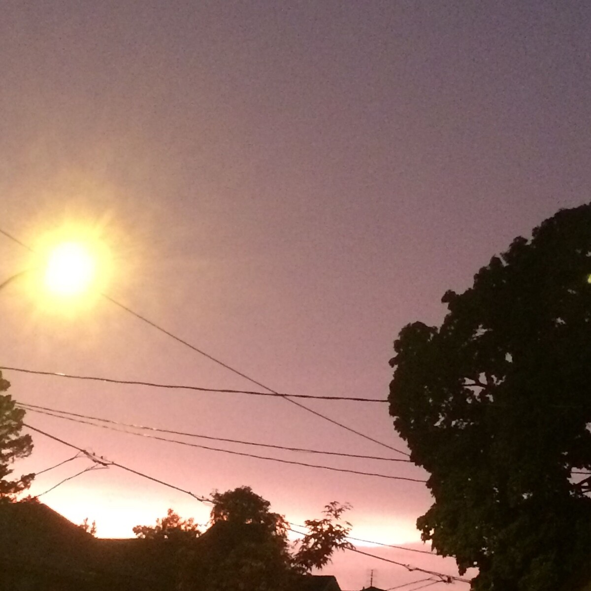 Some Missed Calls by 9TAILS (Single): Reviews, Ratings, Credits, Song ...