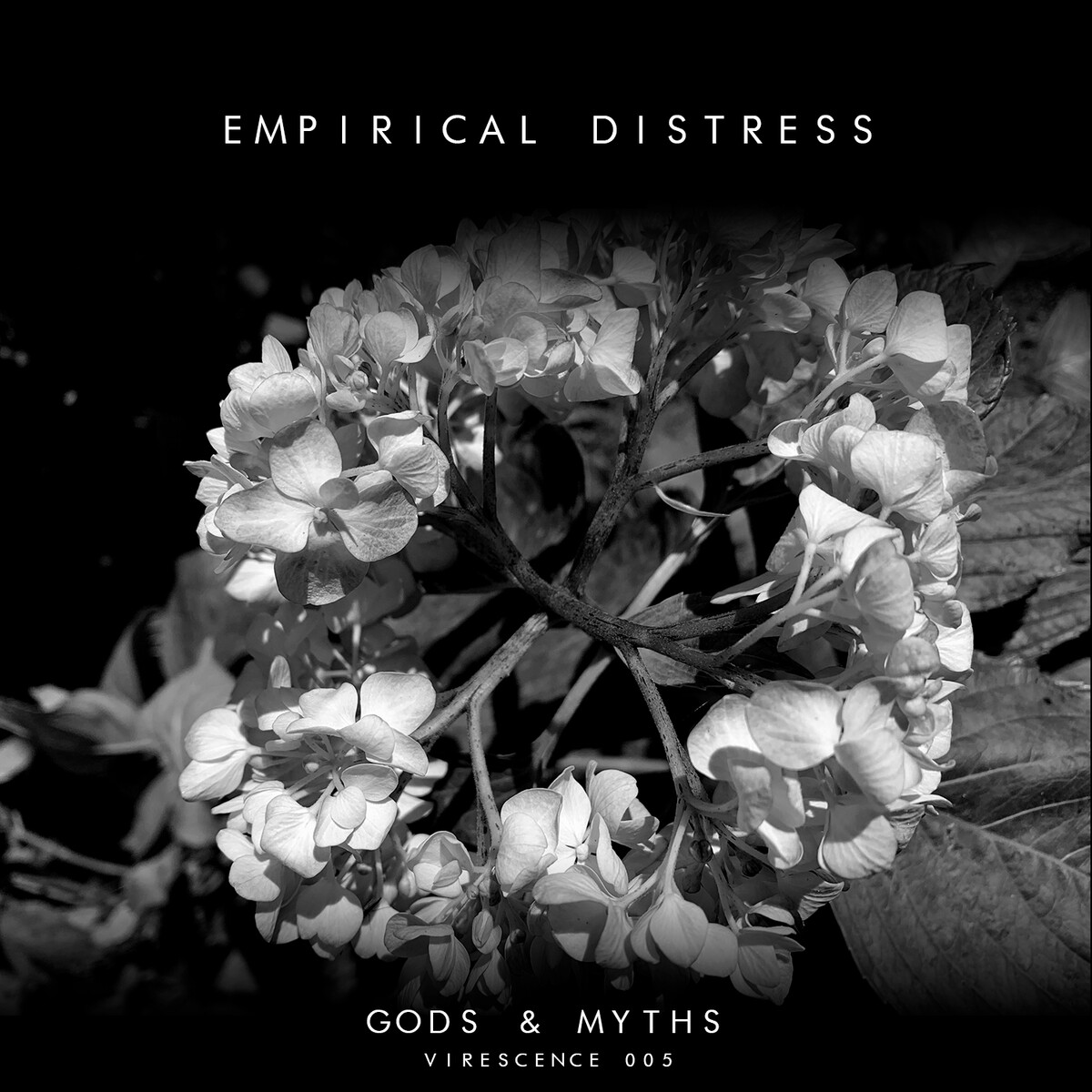 Empirical Distress Albums: songs, discography, biography, and listening ...