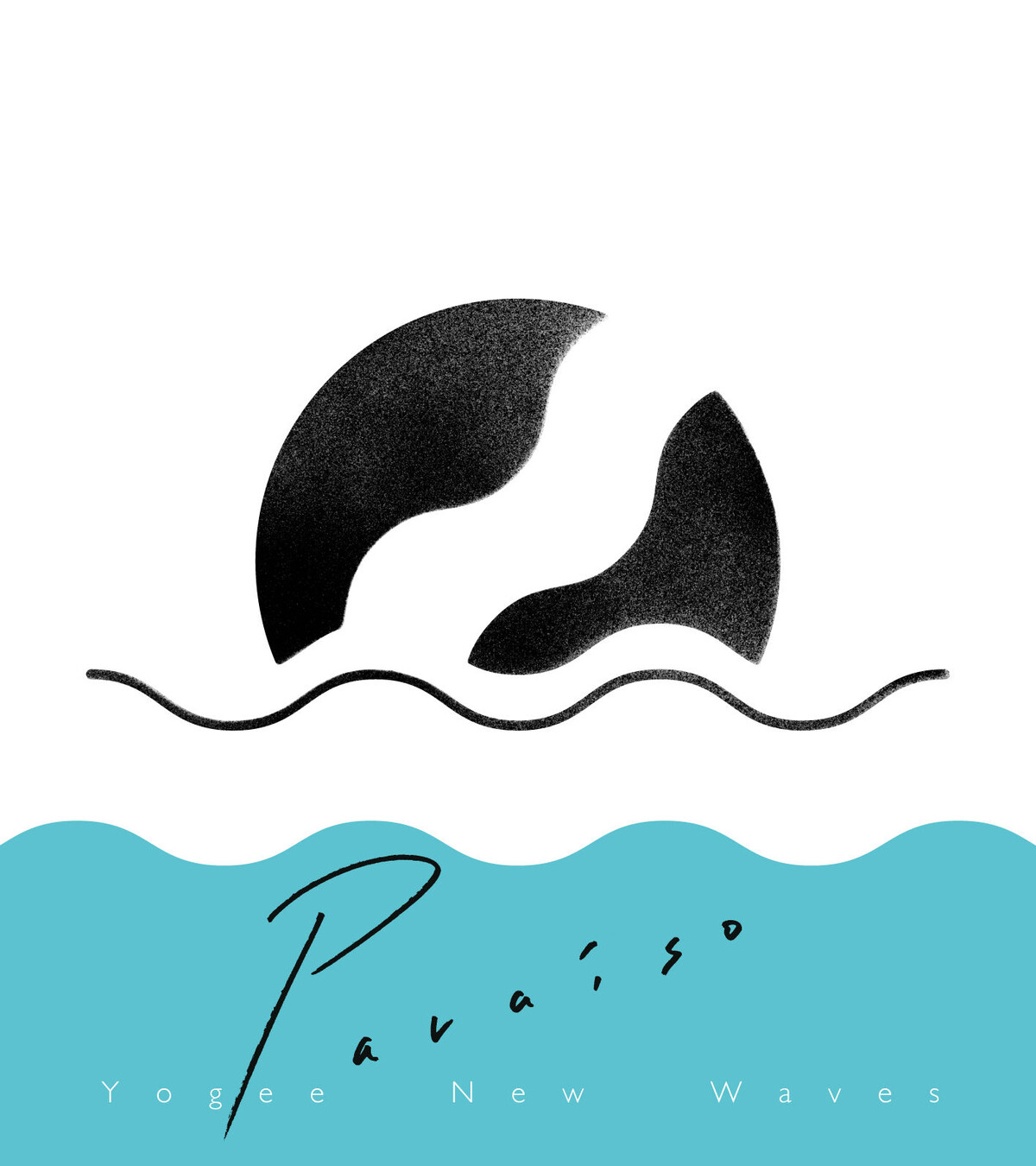 Yogee New Waves Albums: songs, discography, biography, and