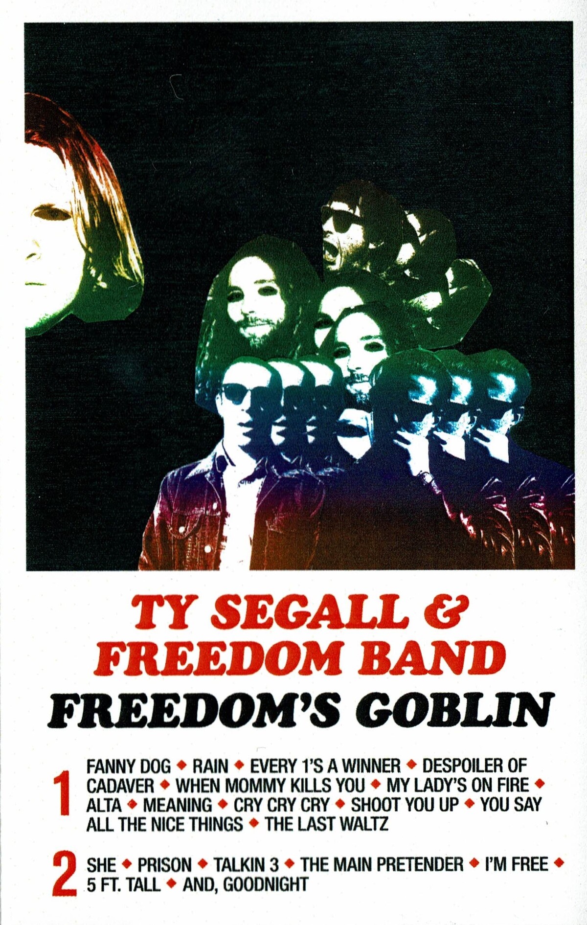 米2LP TY SEGALL FREEDOMS GOBLIN  DC675 Drag City /00520 Ty Segall & Freedom Band – Freedom's Goblin – 2 x Vinyl (LP