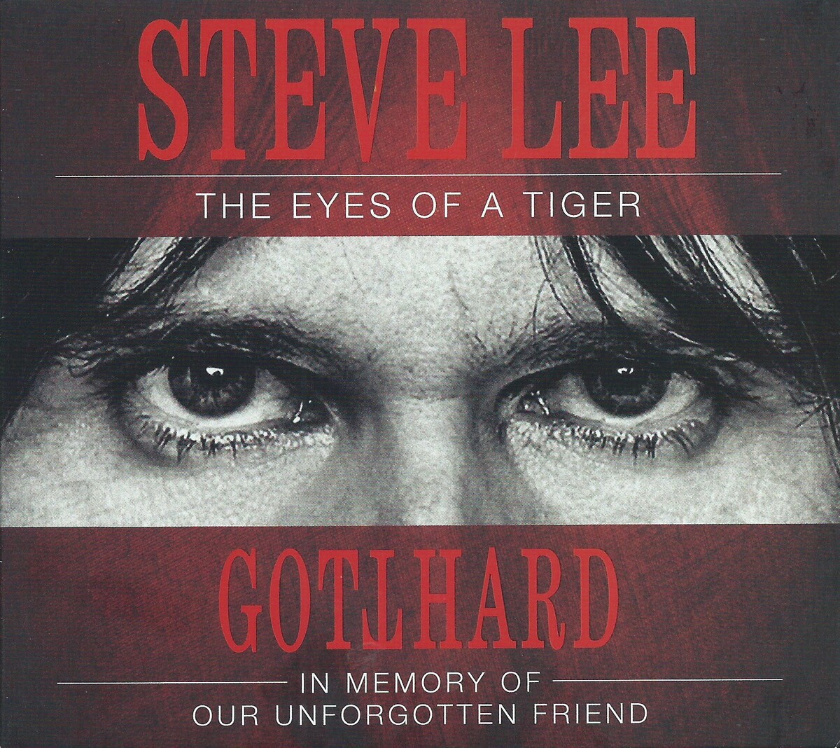 Steve Lee: The Eyes of a Tiger - In Memory of Our Unforgotten Friend by