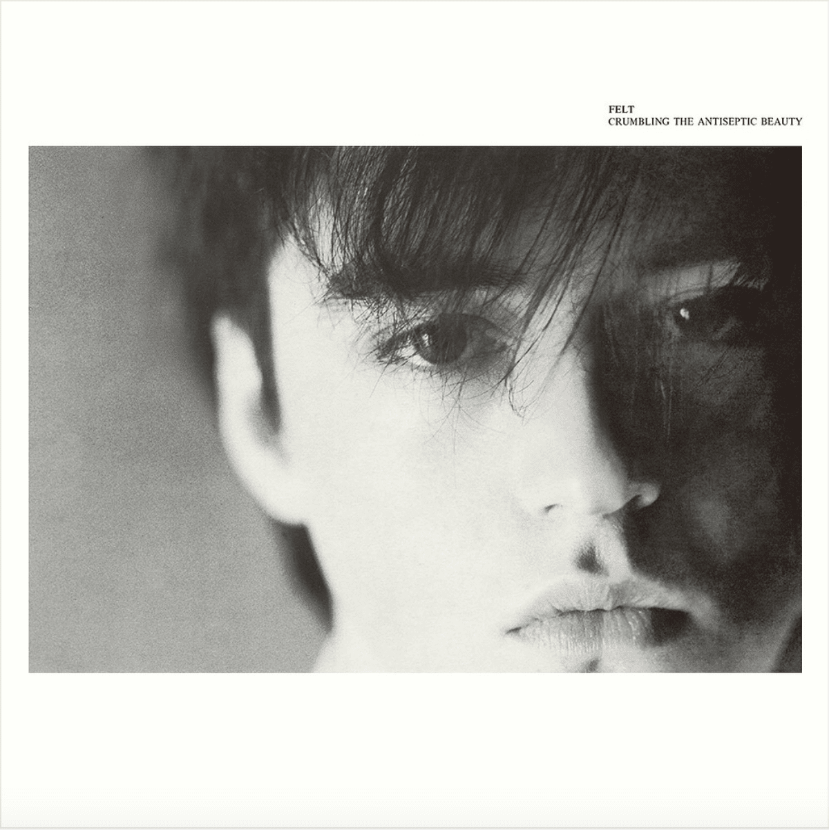 Crumbling The Antiseptic Beauty - Album by Felt | Spotify