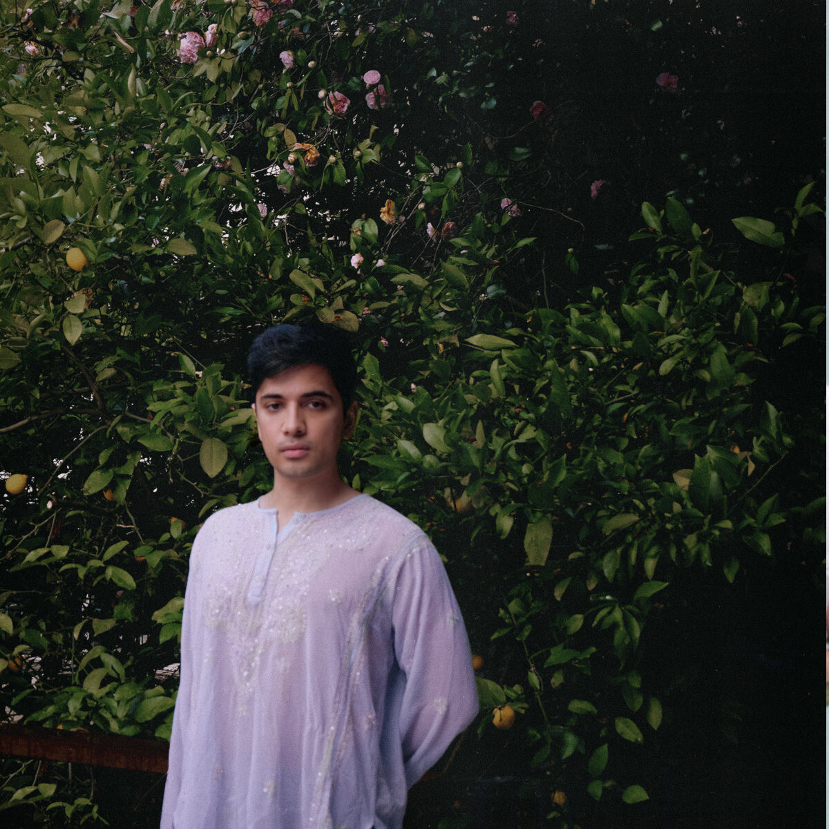 The Fall by ZAN (Single): Reviews, Ratings, Credits, Song list - Rate ...