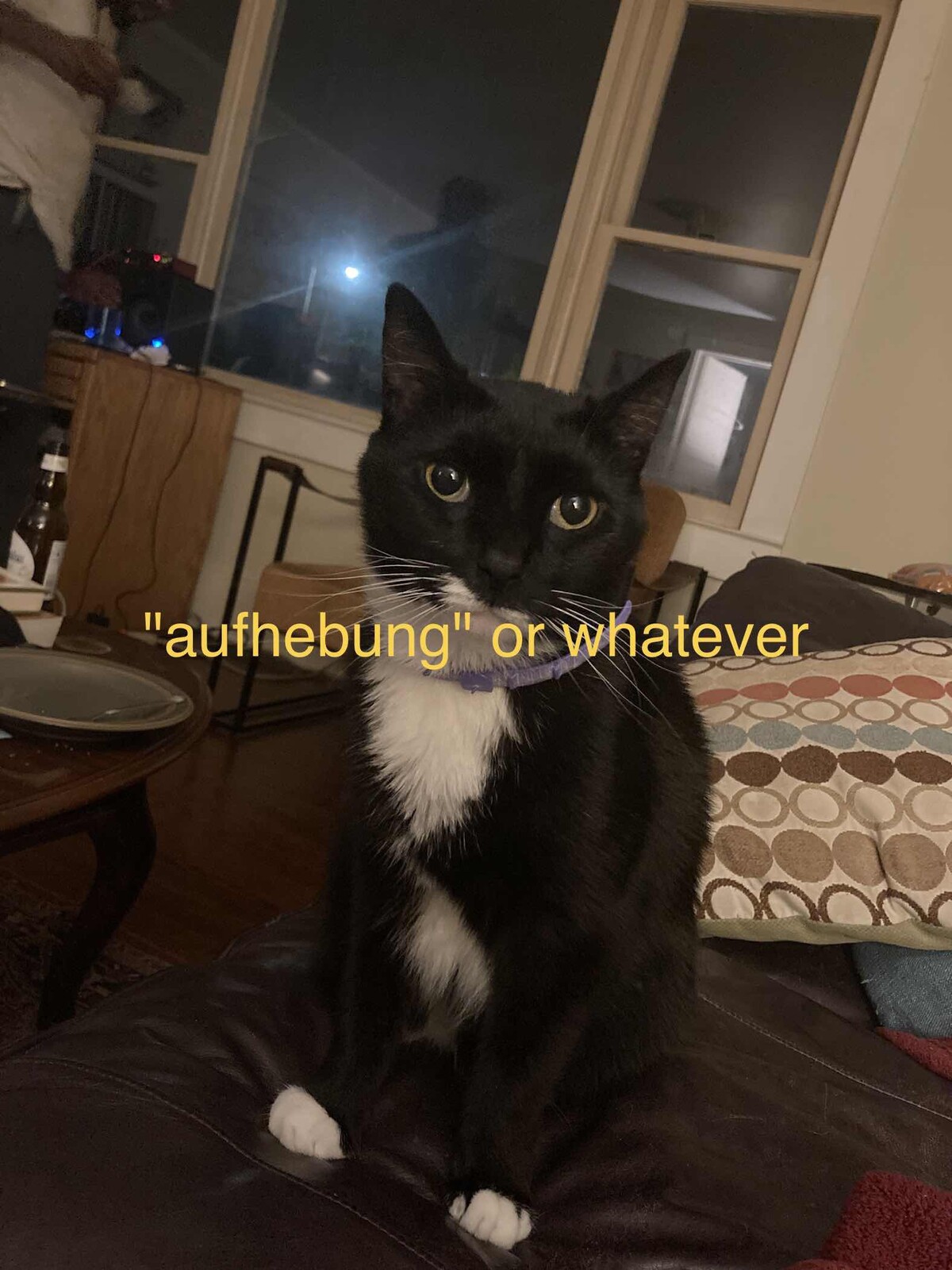 We Cry Inetcore by audry (Album; searchq): Reviews, Ratings, Credits ...