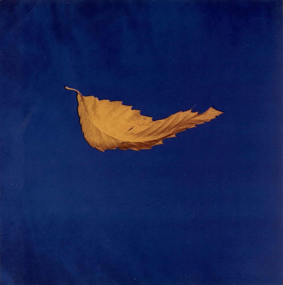 True Faith / 1963 by New Order (Single, Synthpop): Reviews