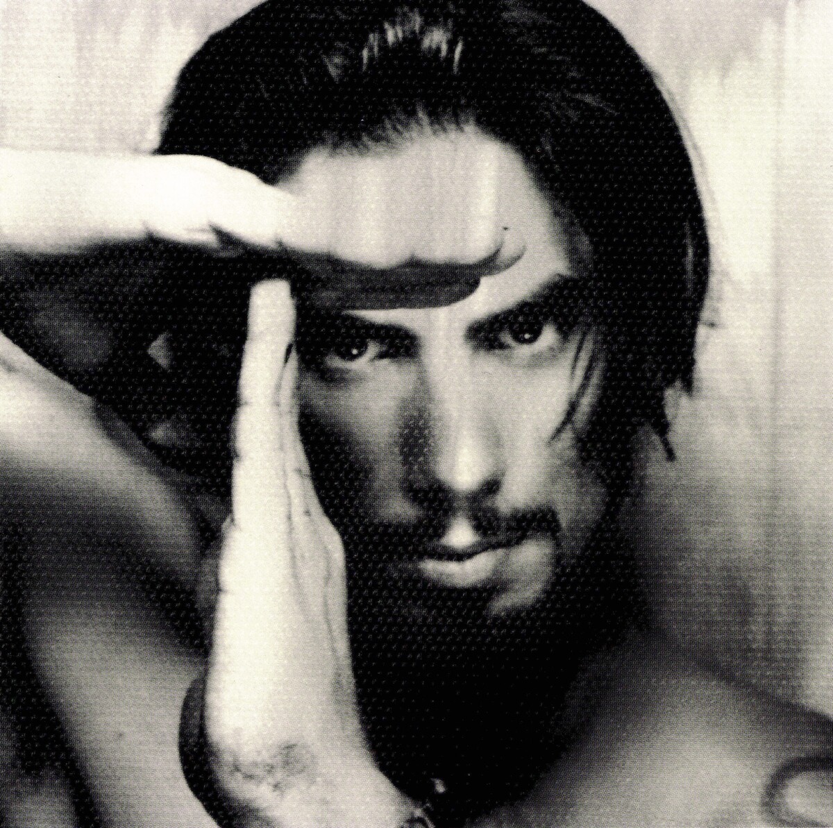 Dave Navarro Albums songs, discography, biography, and listening guide