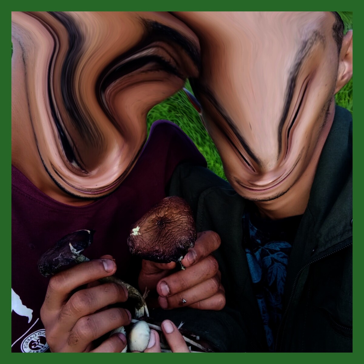 Lithium Valley by The Mushroom Group (Single): Reviews, Ratings ...
