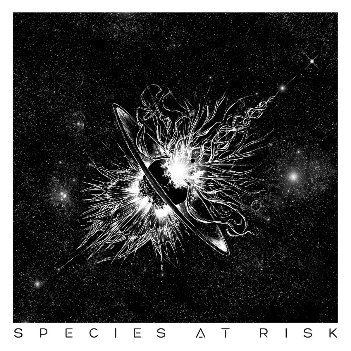 Music credits for Species at Risk : 2 performances listed under writer ...
