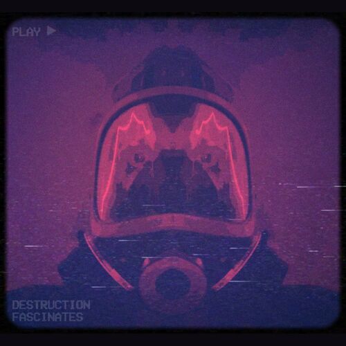 Red Spider Lily: A Bloom That Poisons, Fascinates, Demands Destruction