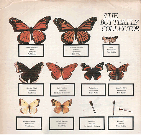 The Butterfly Collector by The Jam (Bootleg): Reviews, Ratings