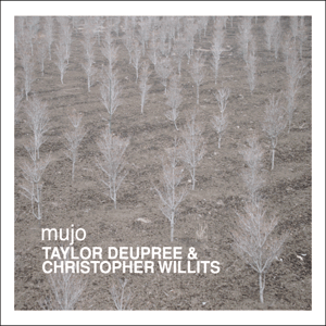 Taylor Deupree & Christopher Willits Albums: songs, discography