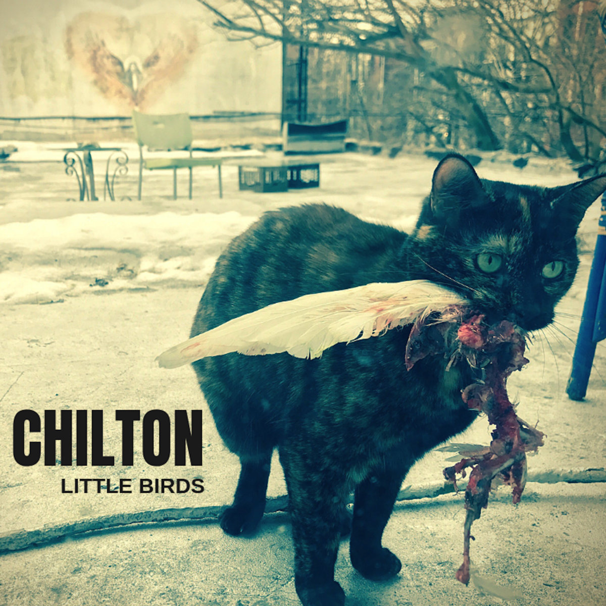 Chilton Albums: songs, discography, biography, and listening guide ...