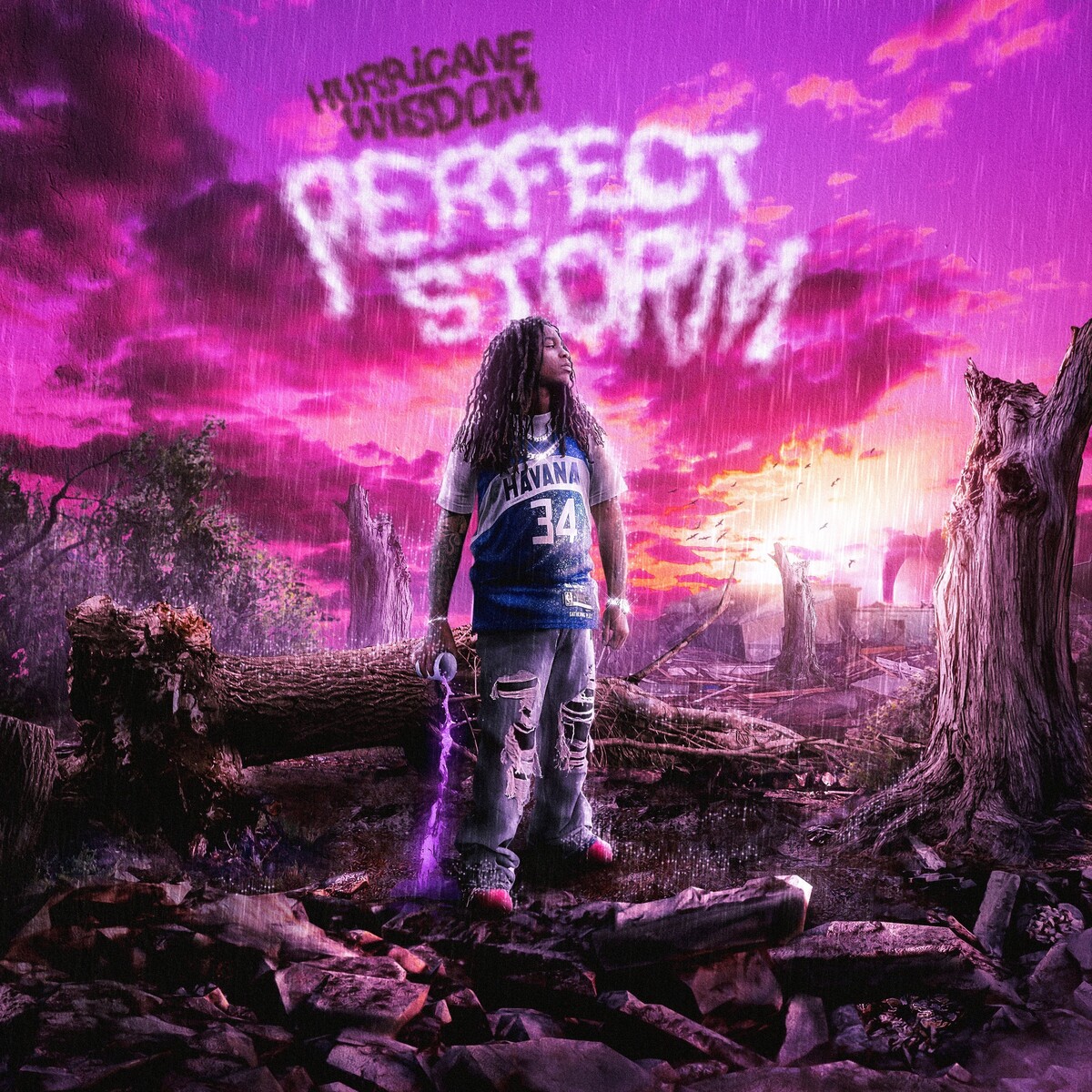 Perfect Storm by Hurricane Wisdom (Album): Reviews, Ratings, Credits ...