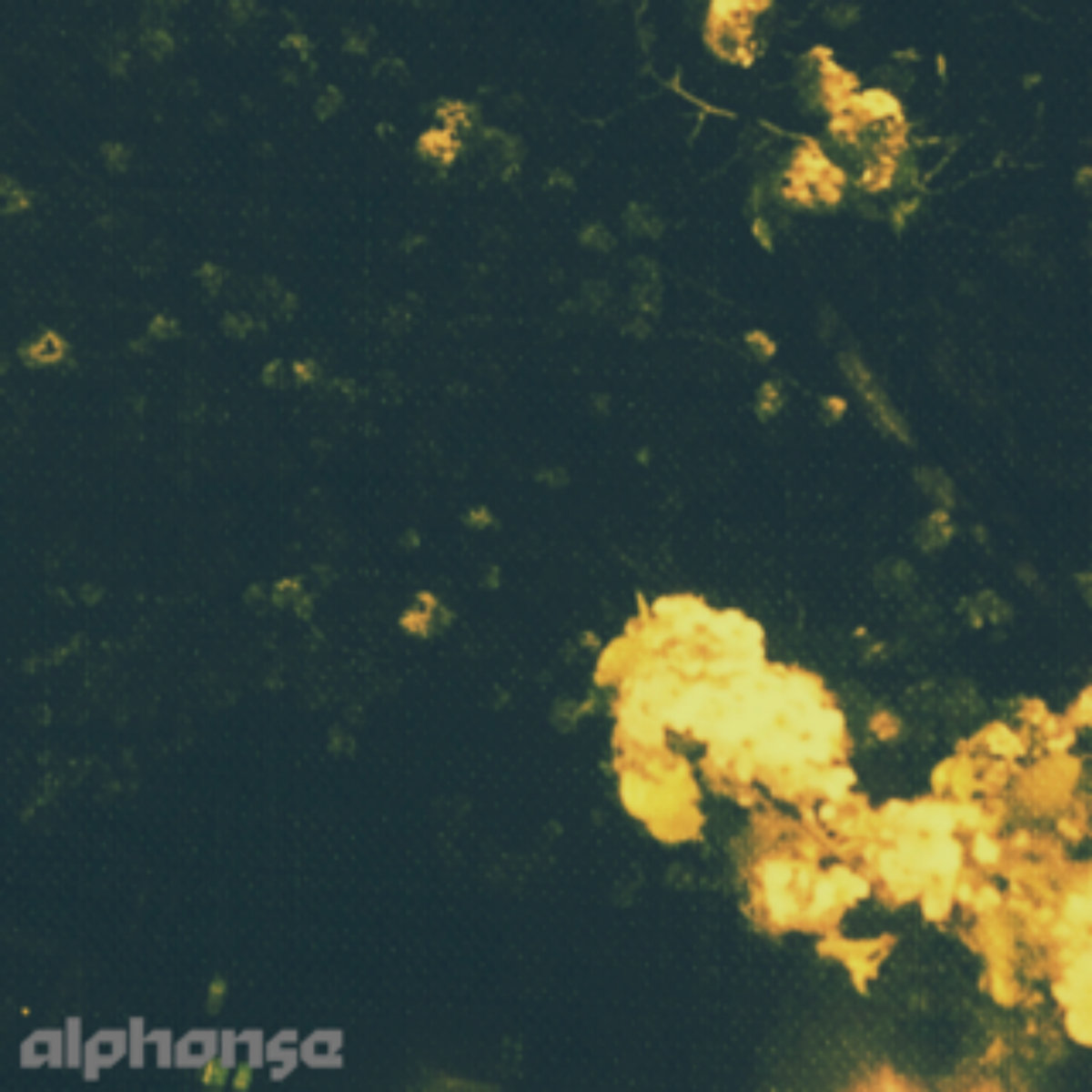 [Loading] by Alphonse (Album): Reviews, Ratings, Credits, Song list ...