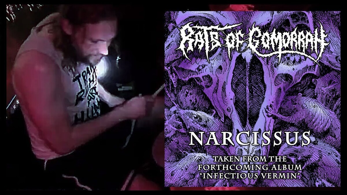 Narcissus by Rats of Gomorrah (Music video): Reviews, Ratings, Credits ...