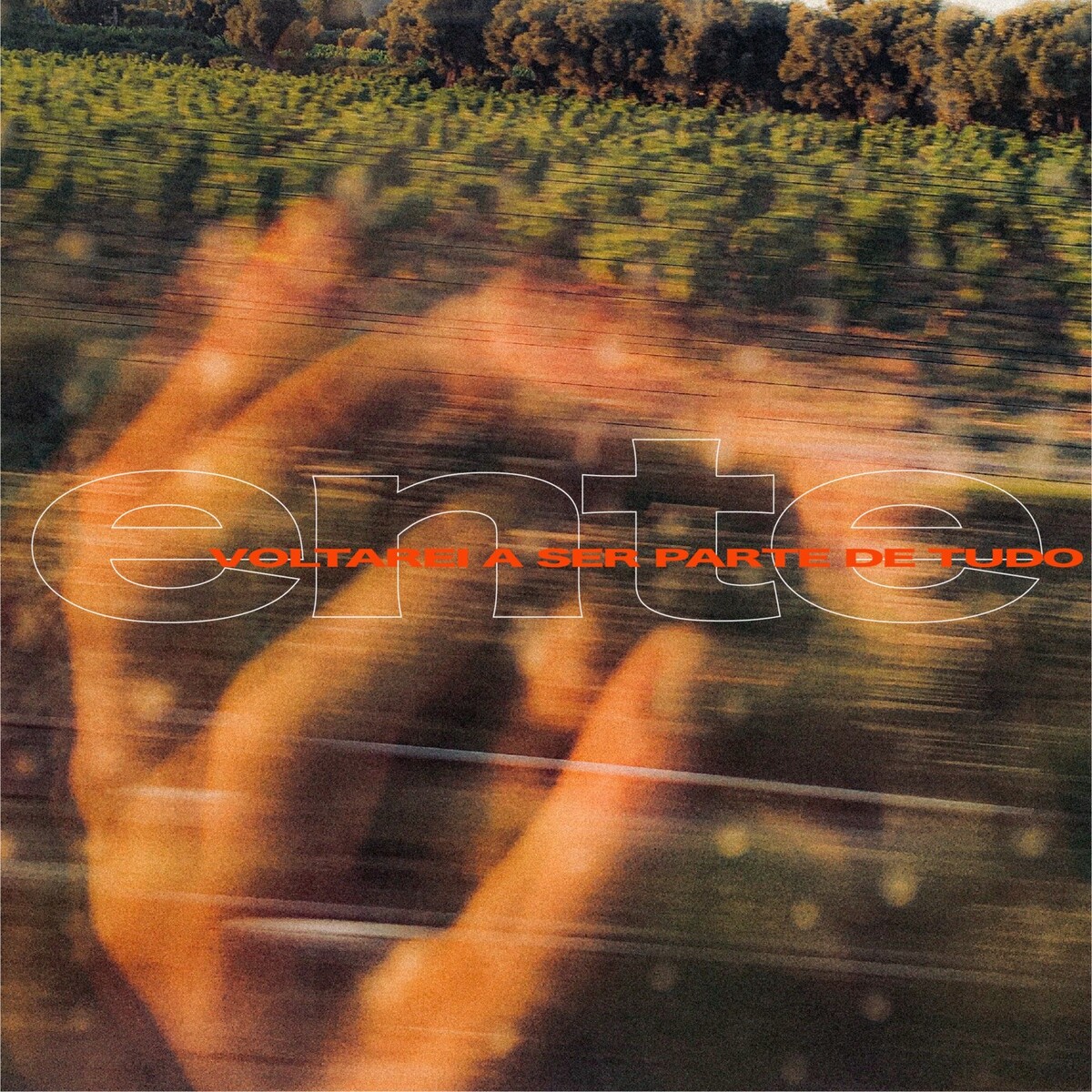 Ente Albums: songs, discography, biography, and listening guide - Rate ...