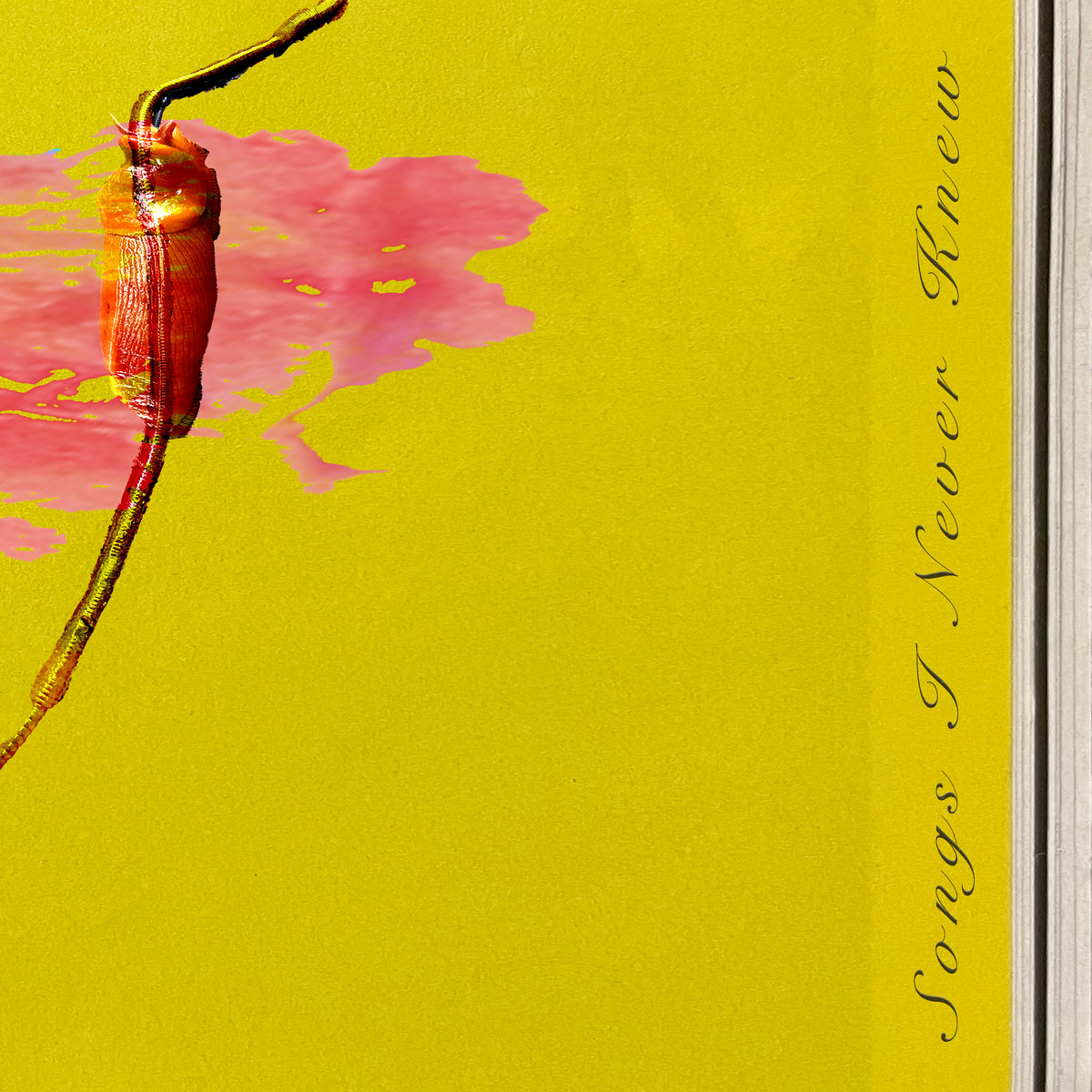 Songs I Never Knew by boyscoutmarie (Single) Reviews, Ratings, Credits