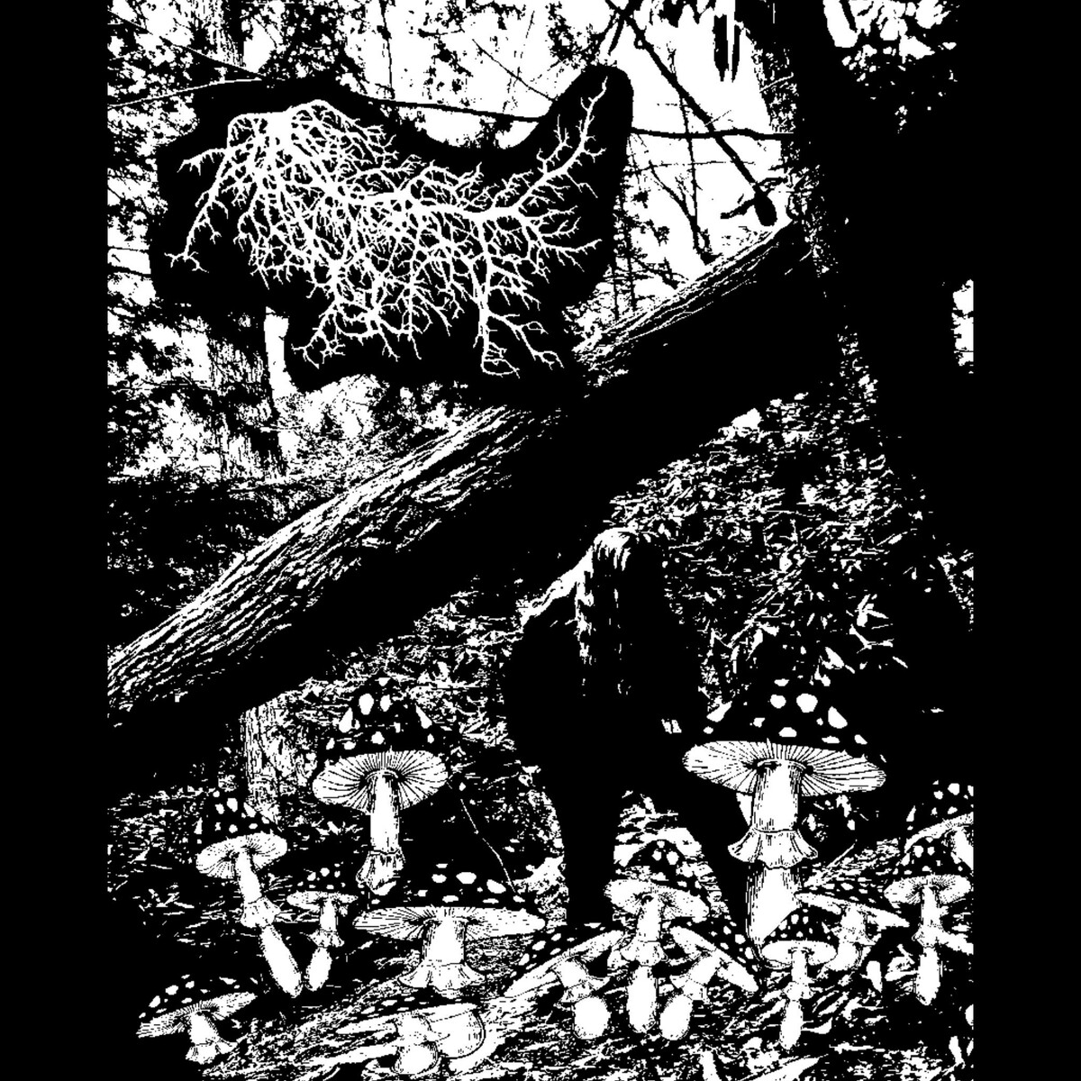 Neolithic Sorcery by Lichen (Compilation): Reviews, Ratings, Credits ...