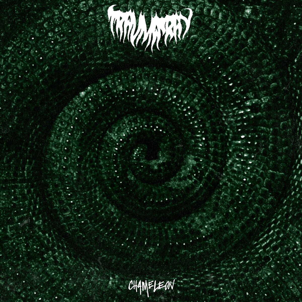 Chameleon by Trauma Ray (Album, Shoegaze): Reviews, Ratings
