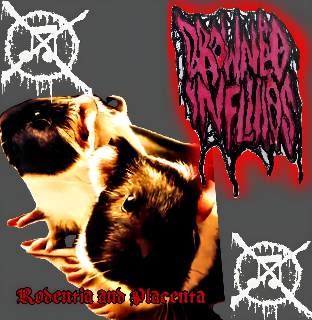 Drowned in Fluids Albums: songs, discography, biography, and listening ...